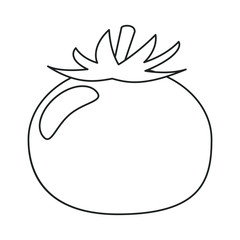 tomato vegetable healthy food outline vector illustration eps 10