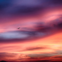  in  philippines  abstract cloud and sunset