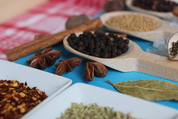 spices and herbs, spice, herb, pepper, garlic, mustard, clove, allspice, nutmeg, anise, anise star seed, chili, dried chilis, bay leaf, cinnamon, 