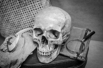 Still life with human skull with old Items in black and white