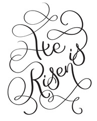 He is Risen text on white background. Calligraphy lettering Vector illustration EPS10