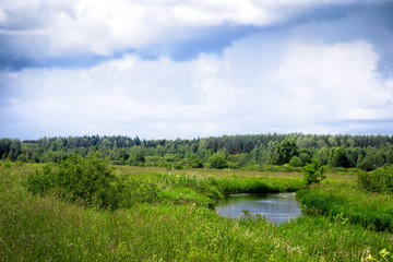 Obraz na płótnie Canvas The river flows through the Belarus meadows in summer