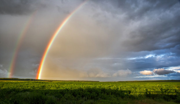 Bright rainbow after the rain over the field under the sun © ultrapro