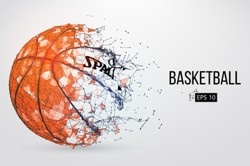 Obraz premium Silhouette of a basketball ball. Vector illustration