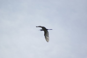 Riserva naturale Vendicari