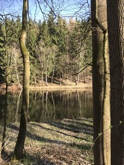 Frühlingserwachen - Frühling am Fluss - Zwickauer Mulde bei Penig