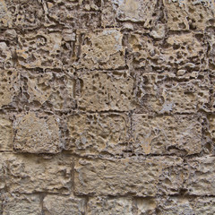 Shell stone texture two