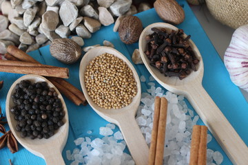 spices and herbs, spice, herb, pepper, garlic, mustard, clove, allspice, nutmeg, anise, anise star seed, chili, dried chilis, bay leaf, cinnamon, 