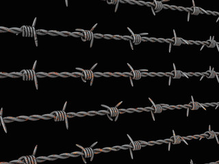 Barbed wire on black