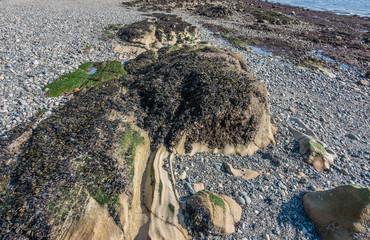 Seabed Rock Formation 2
