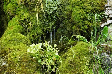 Obraz premium Frühling in Weimar