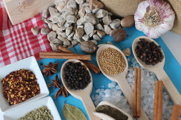 spices and herbs, spice, herb, pepper, garlic, mustard, clove, allspice, nutmeg, anise, anise star seed, chili, dried chilis, bay leaf, cinnamon, 