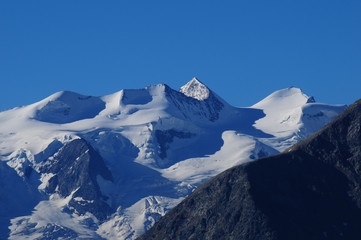 Schweizer Alpen: Sicht vom Muotas Muragl im Oberengadin auf die Bernina Gruppe