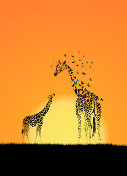 Giraffe with her baby