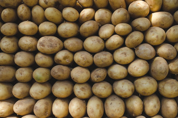 texture of the potatoes
