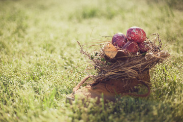 nest with Easter eggs on grass backround