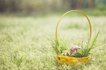 colored Easter eggs in basket on grass background