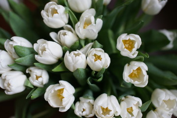 Large bouquet of white tulips