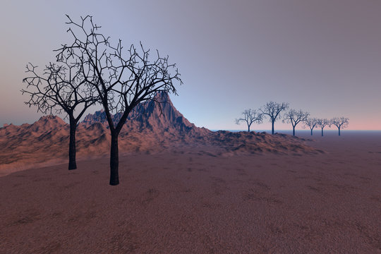 Desert, a rocky landscape, black trees without leaves and an hazy sky.
