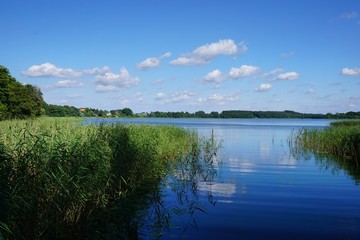 Obraz na płótnie Canvas Schaalsee in Mecklenbrurg-Vorpommern