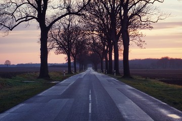 Sonnenuntergang auf einer Landstraße in M-V