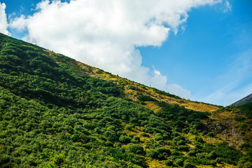 blue sky with clouds and a mountain of green bushes