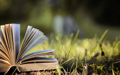opened book in yellow autumn 