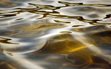 Naklejka premium Water surface of lake with soft rolling ripples in shades of gold 
