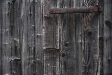 Detailed fragment of wooden background, texture
