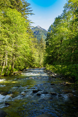 Obraz premium Where the water flows 