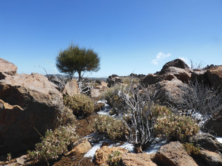  rocky mountains in winter - arid desert landscape