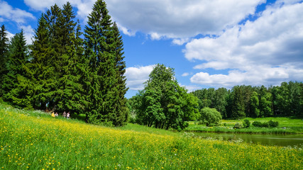 Russia. Pavlovsk Park in early June 2016. A natural landscape. 