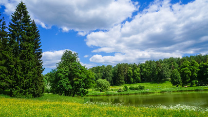 Russia. Pavlovsk Park in early June 2016. A natural landscape. 