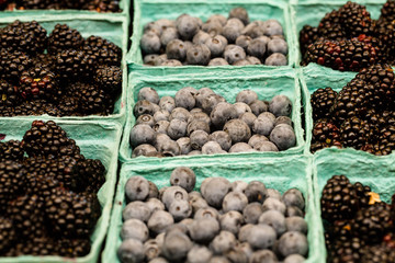 Blueberries and Blackberries in Cartons at Farmers Market