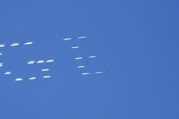 Several  planes performing in an air show