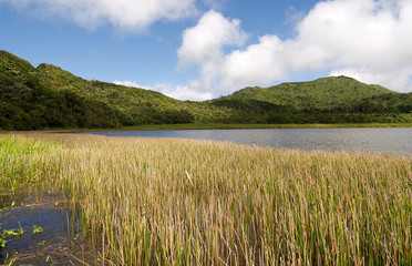 Grenada island - Grand Etang National Park - Grand Etang Lake