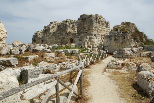 Euryalus Bilder Durchsuchen 126 Archivfotos, und