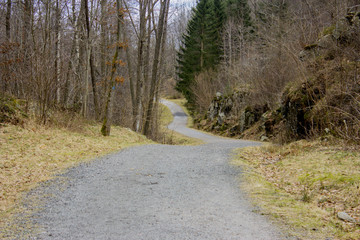 Walking path through a forest in southern Norway. Early spring colored forest.