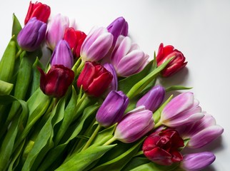 Bouquet of tulips on white wooden table. Overhead shot a bouquet of pink and purple Spring tulip flowers for Mother's or Women's Day over white wood table top. Flat lay top view style.