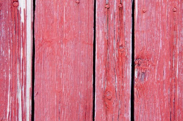 Texture of boards with exfoliating old crimson paint.