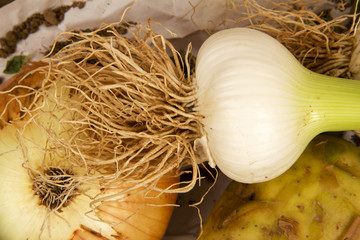 Garlic and Onion 