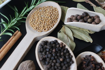 spices and herbs, spice, herb, pepper, garlic, mustard, clove, allspice, nutmeg, anise, anise star seed, chili, dried chilis, bay leaf, cinnamon, 