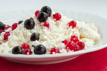 Homemade cottage cheese with red and black currants