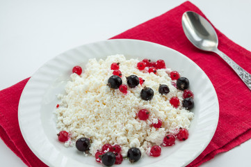Homemade cottage cheese with red and black currants