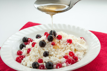 Homemade cottage cheese with red and black currant honey