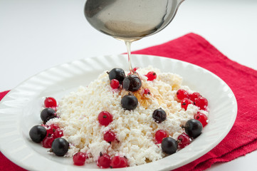 Homemade cottage cheese with red and black currant honey