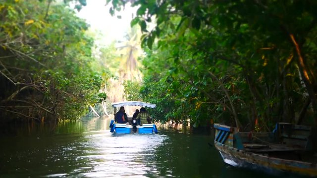 Boat and Palm tree backwater in India Timelapse