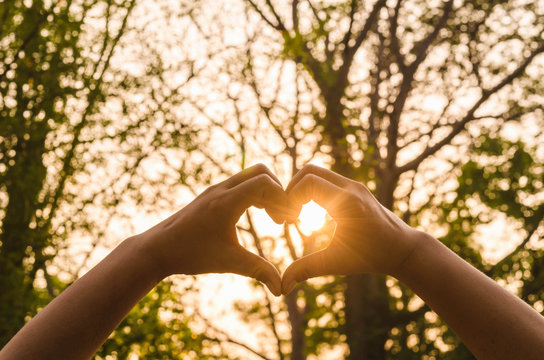  hands in shape of love heart and sunshine in nature