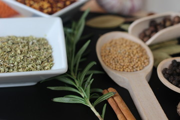 spices and herbs, spice, herb, pepper, garlic, mustard, clove, allspice, nutmeg, anise, anise star seed, chili, dried chilis, bay leaf, cinnamon, 