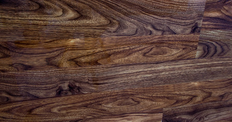 Obraz premium Wood Tree Texture Background Pattern